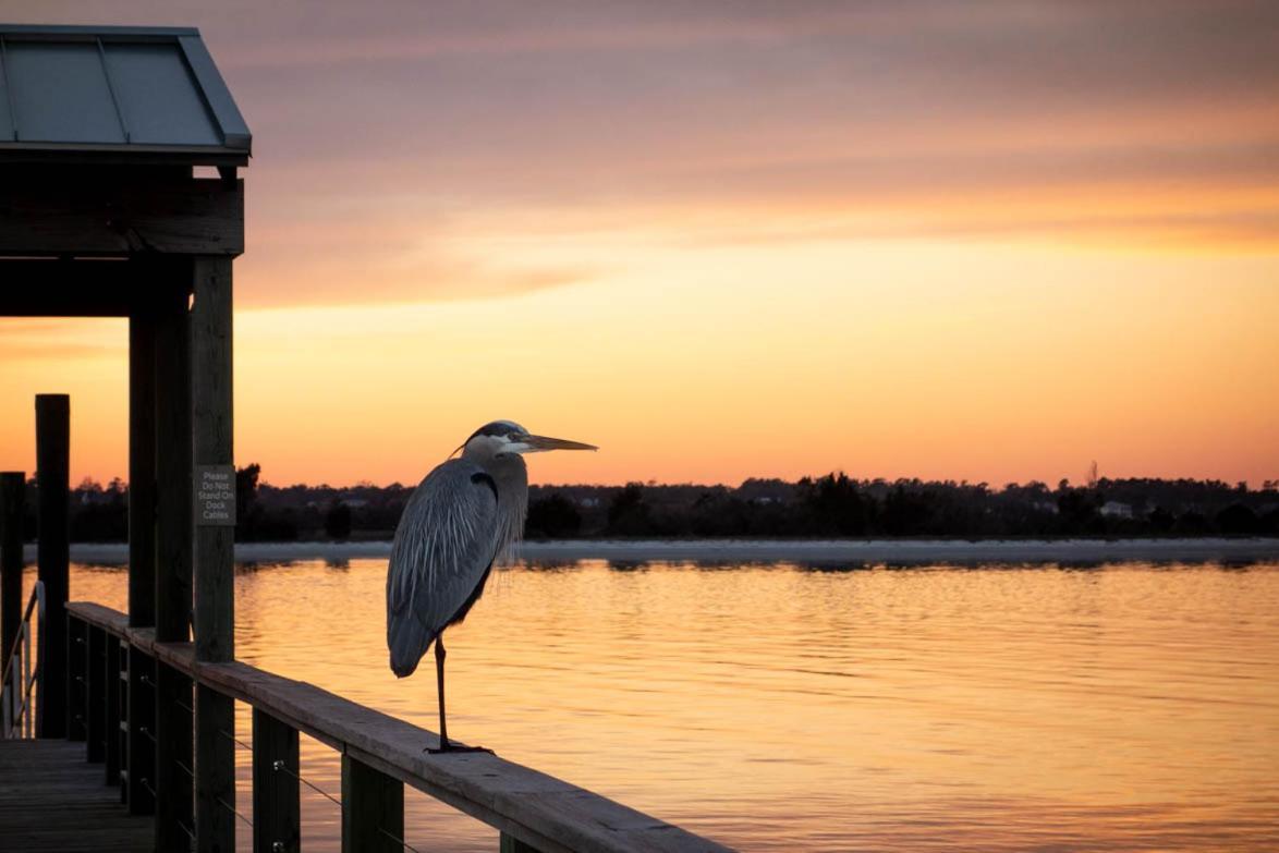 Sounds Of Summer By Bryant Real Estate * Wrightsville Beach